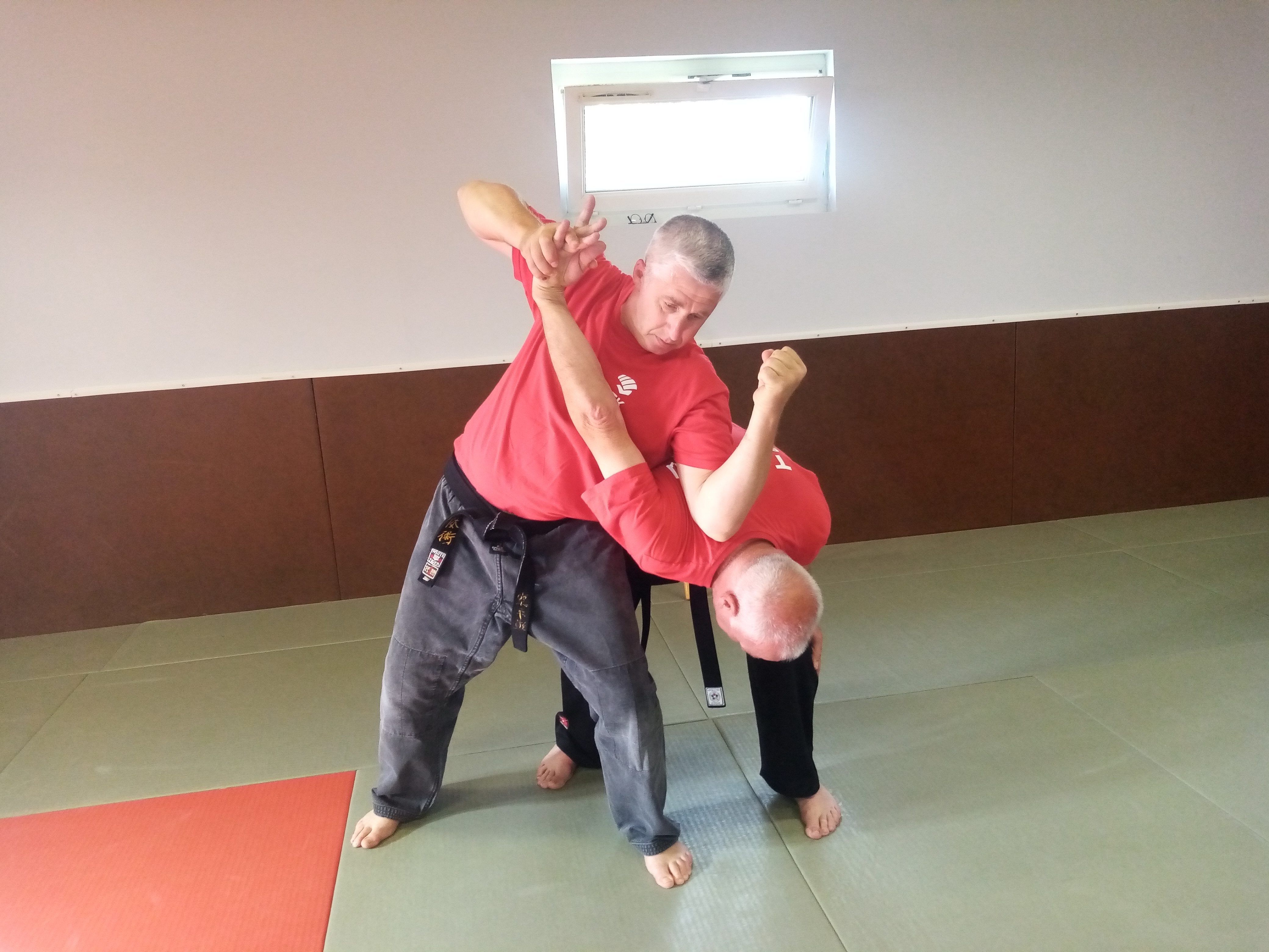 Travail technique en taï-jitsu